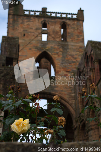 Image of Jedburgh abbey - tourists attraction