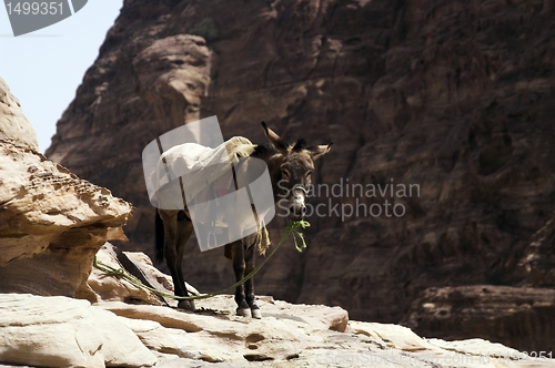 Image of Petra ruins and mountains in Jordan