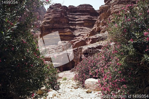 Image of Petra ruins and mountains in Jordan