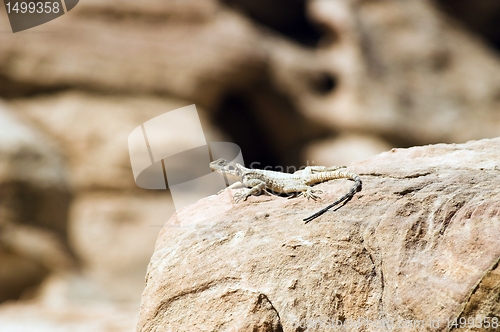 Image of Petra ruins and mountains in Jordan