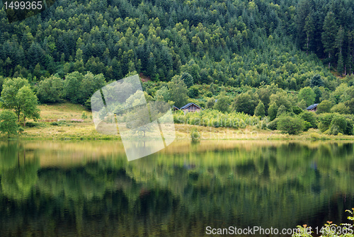 Image of Scotland nature for walkers