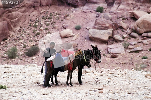 Image of Petra ruins and mountains in Jordan