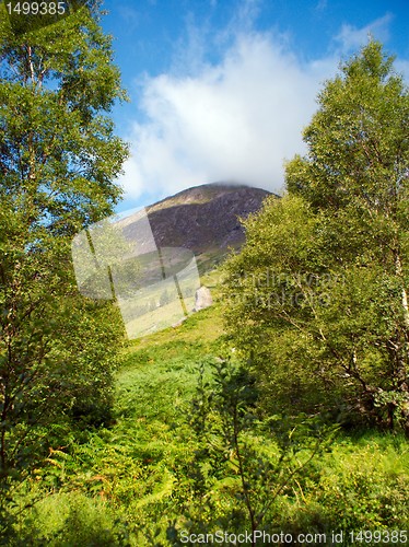 Image of Scotland nature for walkers