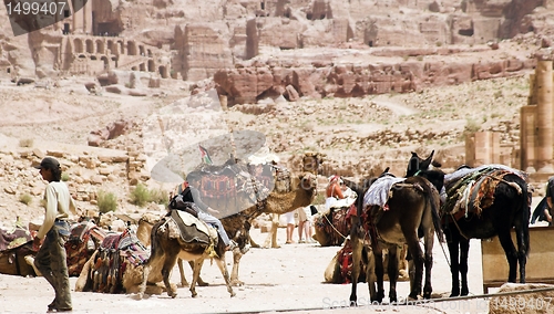 Image of Petra ruins and mountains in Jordan