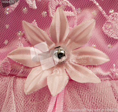 Image of Pink flower detail