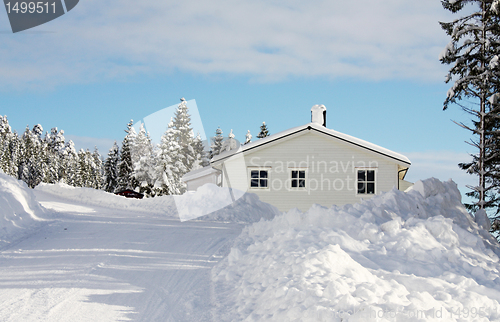 Image of Winter wonderland