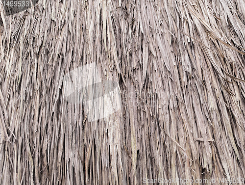 Image of Nipa Hut