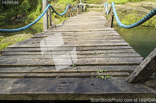 Image of Wooden Suspension Bridge