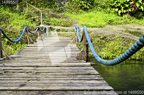 Image of Wooden Suspension Bridge