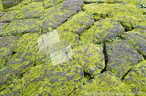 Image of Mossy Stones