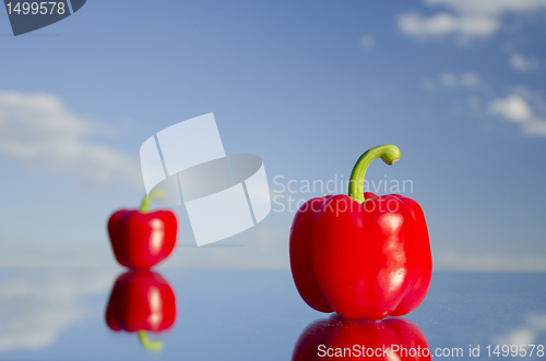 Image of Paprika stand on mirrow in background of blue sky.