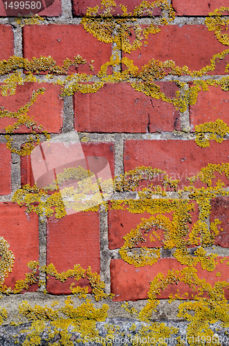 Image of Mossy red brick wall fragment background.
