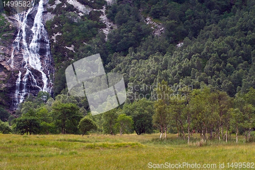 Image of Scotland nature for walkers