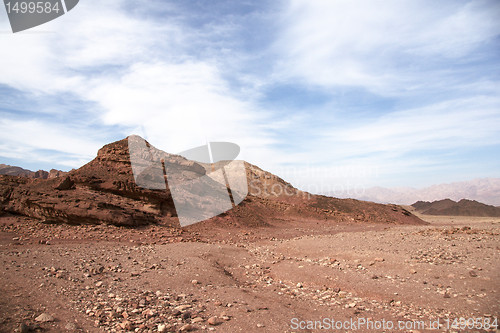 Image of Travel in Arava desert