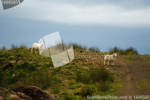 Image of Skye island nature