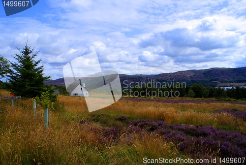 Image of Scotland nature for walkers
