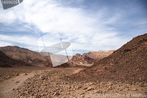 Image of Travel in Arava desert