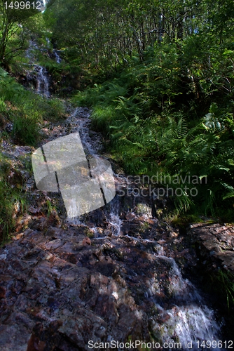 Image of Scotland nature for walkers