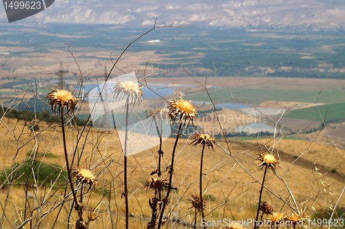 Image of Galilee landscape