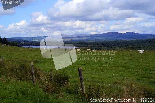 Image of Scotland nature for walkers