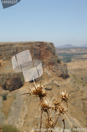 Image of Galilee landscape