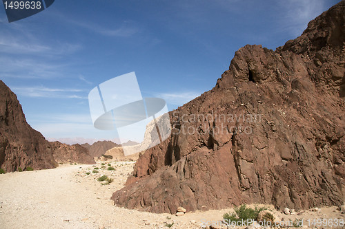 Image of Travel in Arava desert