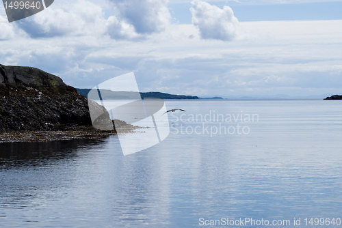 Image of boat trip in scotland