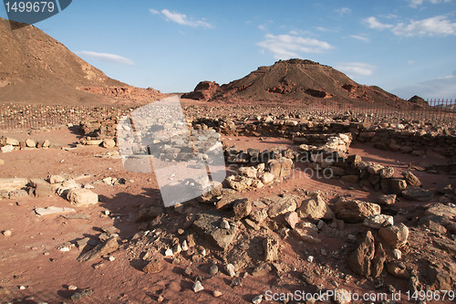 Image of Travel in Arava desert