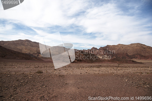 Image of Travel in Arava desert