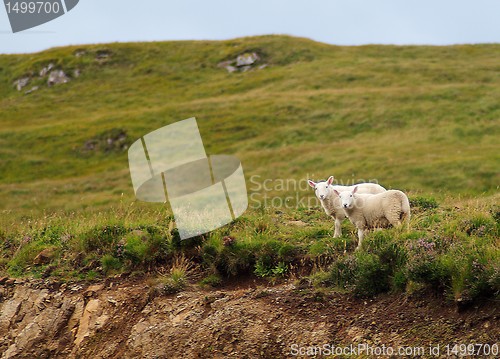 Image of Skye island nature