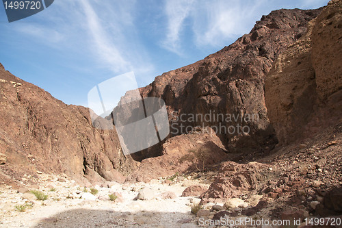 Image of Travel in Arava desert