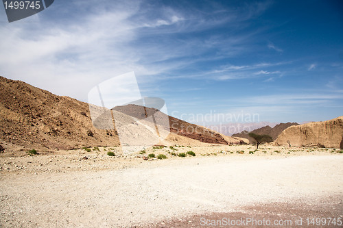 Image of Travel in Arava desert