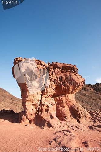 Image of Travel in Arava desert