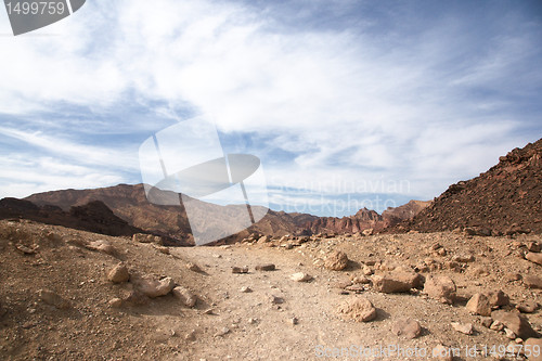 Image of Travel in Arava desert