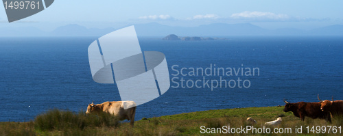 Image of scotland landscape 