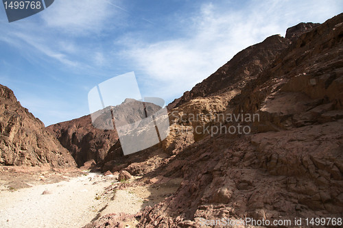 Image of Travel in Arava desert