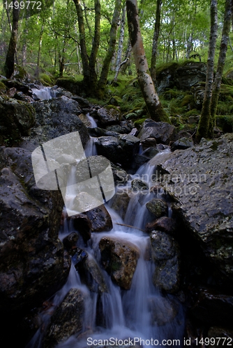 Image of Scotland nature for walkers