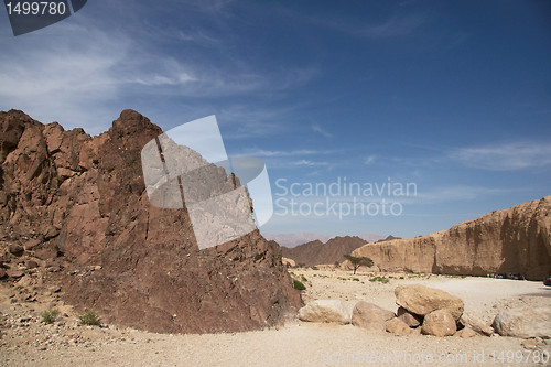 Image of Travel in Arava desert