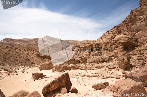 Image of Travel in Arava desert