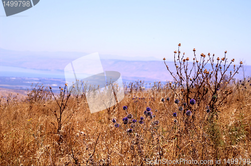 Image of Galilee landscape