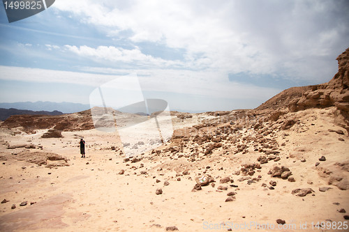 Image of Travel in Arava desert