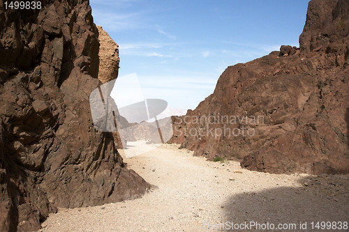 Image of Travel in Arava desert