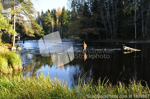 Image of Fishing at sunset