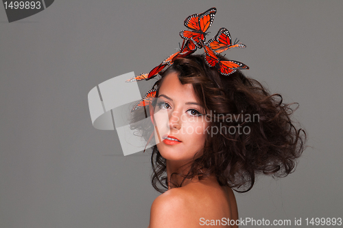 Image of Butterflies