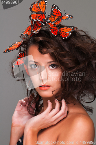 Image of Butterflies