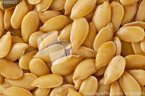 Image of golden flax  seeds