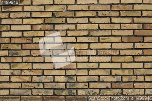 Image of Brick wall