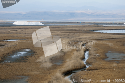 Image of Sea â€‹â€‹saltern