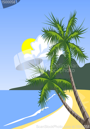 Image of Palm tree on the tropical beach