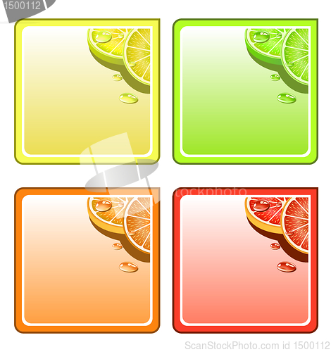 Image of Fruit collage vector coaster set